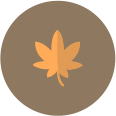 가을학기 아이콘